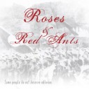 Roses & Red Ants